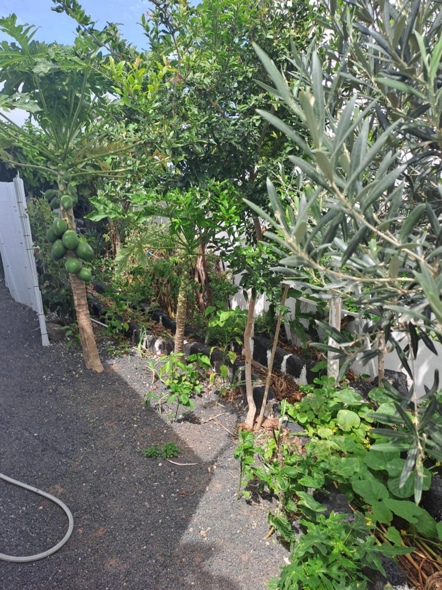 El Cuchillo Las Vistas מראה חיצוני תמונה